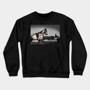 harness horse cart racing - 5 Crewneck Sweatshirt